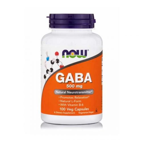 Now GABA 750mg, 100 capsules