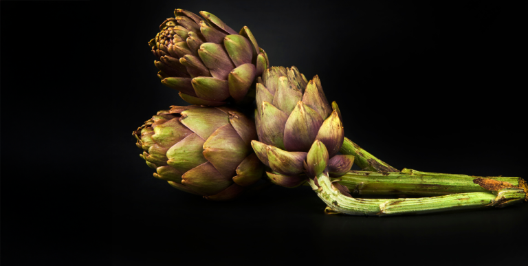 Artichoke: a unique plant for your liver health